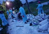 Chi cục Chăn nuôi & Thú y Kiểm soát tốt tình hình dịch bệnh trên đàn GSGC, thủy sản nuôi