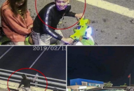 Diễn đàn An ninh: Ném “vật thể lạ” xuống đường cao tốc –  Hành vi cần nghiêm trị!