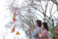 Fansipan: Trẩy hội khèn hoa, ngắm hoa đào quý