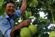 Gian nan ươm màu xanh