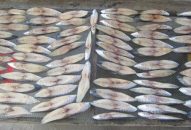 Tích cực quảng bá, giới thiệu các sản phẩm tiêu biểu của thành phố lên sàn thương mại điện tử POSTMART.VN