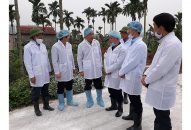 Quyết liệt triển khai công tác phòng, chống dịch tả lợn châu Phi