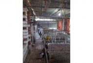 Tại 2 trọng điểm du lịch Đồ Sơn, Cát Hải: Tăng cường công tác phòng dịch bệnh