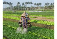 Thị trường vật tư nông nghiệp phong phúchủng loại sản phẩm: Người sản xuất loay hoay chọn lựa