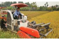 Hỗ trợ kinh tế tập thể phát triển