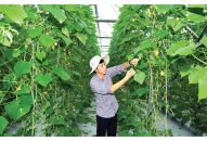 Triển khai mạnh mẽ Nghị quyết 45 của Bộ Chính trị, để Hải Phòng đi đầu cả nước trong sự nghiệp công nghiệp hóa – hiện đại hóa