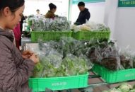 Cả nước chi tiêu 793.800 tỷ đồng trong hai tháng đầu năm