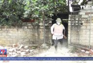 Hải Phòng thêm hộ chăn nuôi có lợn bị mắc tả lợn Châu Phi