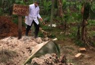 Xã Đại Bản (An Dương) Tiêu hủy ngay lợn mắc dịch tả