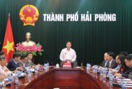 Cả hệ thống chính trị cần vào cuộc để ngăn chặn bệnh Dịch tả lợn Châu Phi