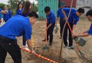 Màu áo xanh vì môi trường xanh