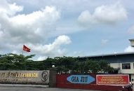 Hốt trọn ổ bạc trong công ty