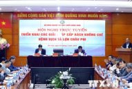 Nâng mức hỗ trợ cho nông dân phải tiêu hủy lợn do dịch tả châu Phi