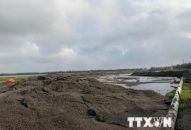 Lượng tồn đọng về tro xỉ của các nhà máy đang tăng lên mức báo động