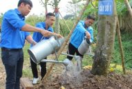 Quận đoàn Dương Kinh 100% Đoàn các phường hỗ trợ thanh niên khởi nghiệp