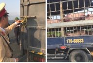 Hải Phòng: Dịch tả lợn châu Phi diễn biến phức tạp