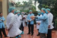 Dịch tả lợn Châu Phi phát sinh thêm tại 5 hộ thuộc huyện Thủy Nguyên