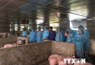 Quảng Ninh lập hàng loạt chốt kiểm dịch ở các ‘cửa ngõ’ tỉnh