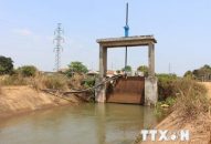 Các hồ đã xả 4,42 tỷ m3 nước để gieo cấy lúa vụ Đông Xuân