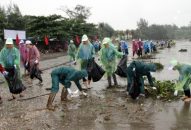 15/15 quận, huyện thực hiện xã hội hoá về bảo vệ môi trường