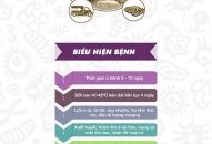 Khẩn trương thực hiện các biện pháp ngăn chặn, khống chế Dịch tả lợn Châu Phi