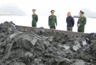 Vận chuyển 900 tấn than lậu