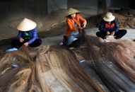 Quận Đồ Sơn: Thiếu hụt lao động thủy sản