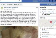 Chủ trang Facebook đăng tin thất thiệt về dịch tả lợn châu Phi có thể bị phạt 20 triệu đồng