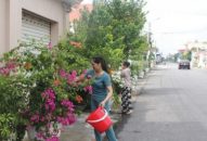 Hội Liên hiệp phụ nữ huyện Kiến Thụy: Phát động hội viên hạn chế tối đa việc sử dụng túi nilon