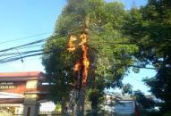 Xảy ra 7 vụ cháy thiết bị tại cột điện