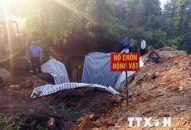 Đồng loạt kiểm tra các điểm thu gom, tập kết thịt lợn