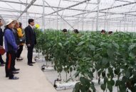 Gần 75 tỷ đồng cho vay phát triển nông nghiệp