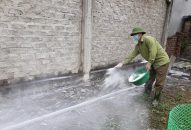 Dịch tả lợn châu Phi đã lan đến Nghệ An