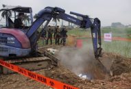 Dịch tả lợn Châu Phi đã lan rộng 15 tỉnh, tiêu hủy 16.600 con lợn