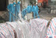 Khẩn cấp chặn heo bệnh lan vào phía Nam