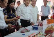 Tỷ lệ các HTX được cấp giấy chứng nhận quyền sử dụng đất còn thấp