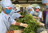 Chuyện thời cuộc: Lương tri