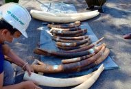 Công an Hải Phòng: Quyết liệt ngăn chặn, đẩy lùi hoạt động liên quan buôn lậu, gian lận thương mại và hàng giả