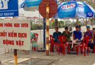 Quận Đồ Sơn: Lập các chốt kiểm dịch động vật tạm thời