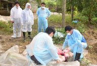 Dịch tả lợn châu Phi lan đến Thừa Thiên Huế, đã có 19 tỉnh thành xuất hiện dịch