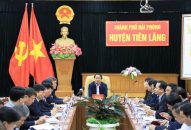 Tiên Lãng: Chuyển đổi cơ cấu cây trồng, phấn đấu hoàn thành xây dựng huyện nông thôn mới vào năm 2020