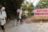 Dịch tả heo châu Phi lan ra 20 tỉnh, thành