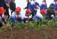 Vì môi trường xanh