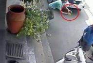 Rủ nhau trộm cắp, dắt nhau vào tù