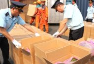 Khen thưởng Hải quan Hải Phòng trong vụ bắt giữ 2,6 tấn lá Khát