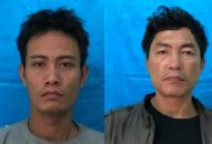 Những tên trộm “mê” cây cảnh