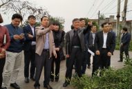 Sớm phê duyệt giá đất cụ thể và lập phương án bồi thường để đẩy nhanh tiến độ thực hiện Dự án nâng cấp tuyến đường qua cầu Hàn, cầu Đăng