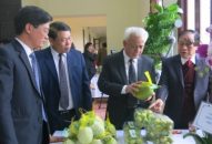 Thành lập Ban Chỉ đạo chương trình mỗi xã một sản phẩm (OCOP)