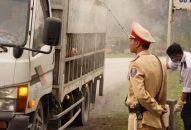 Dịch tả lợn Châu Phi tiếp tục phát sinh trên địa bàn Hải Phòng