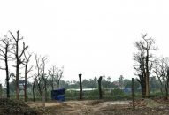 Dự án đường giao thông đô thị qua xã Hồng Thái (An Dương): Hoàn trả lại diện tích do các tổ chức, cá nhân tự ý chuyển đổi đất nông nghiệp, hành lang đường